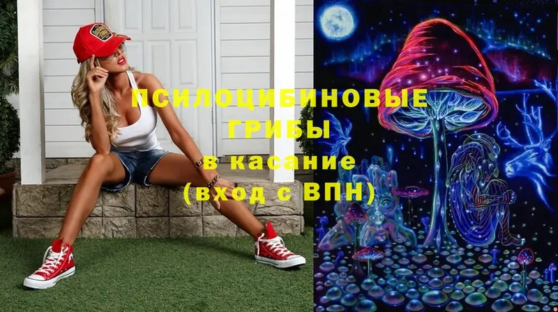 что такое   дарк нет как зайти  Галлюциногенные грибы MAGIC MUSHROOMS  Краснослободск 